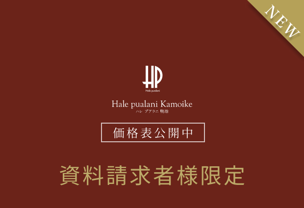公式HP限定資料